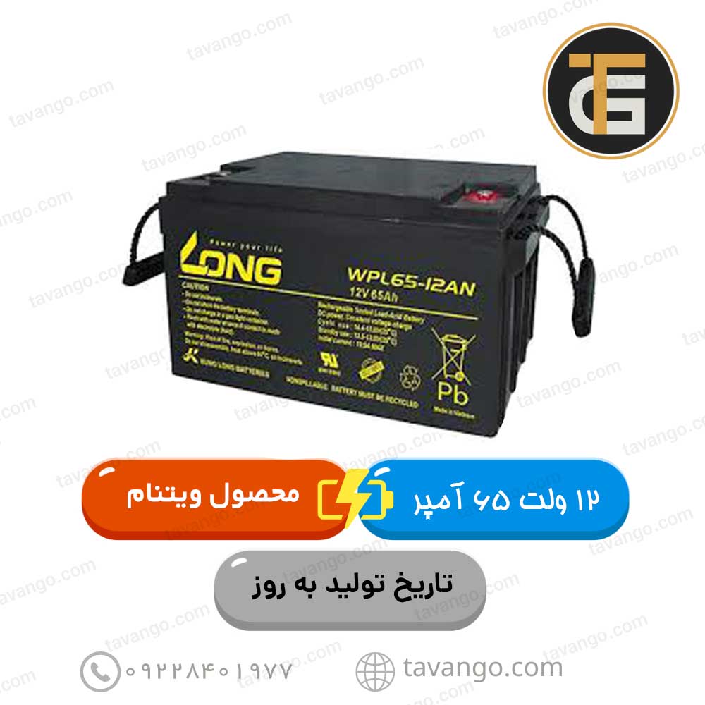 باتری-12-ولت-65-آمپر-لانگ باتری 12 ولت 65 آمپر لانگ ویتنام باتری یو پی اس باتری ups