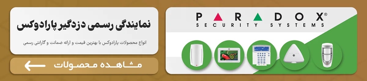 دزدگیر پارادوکس
